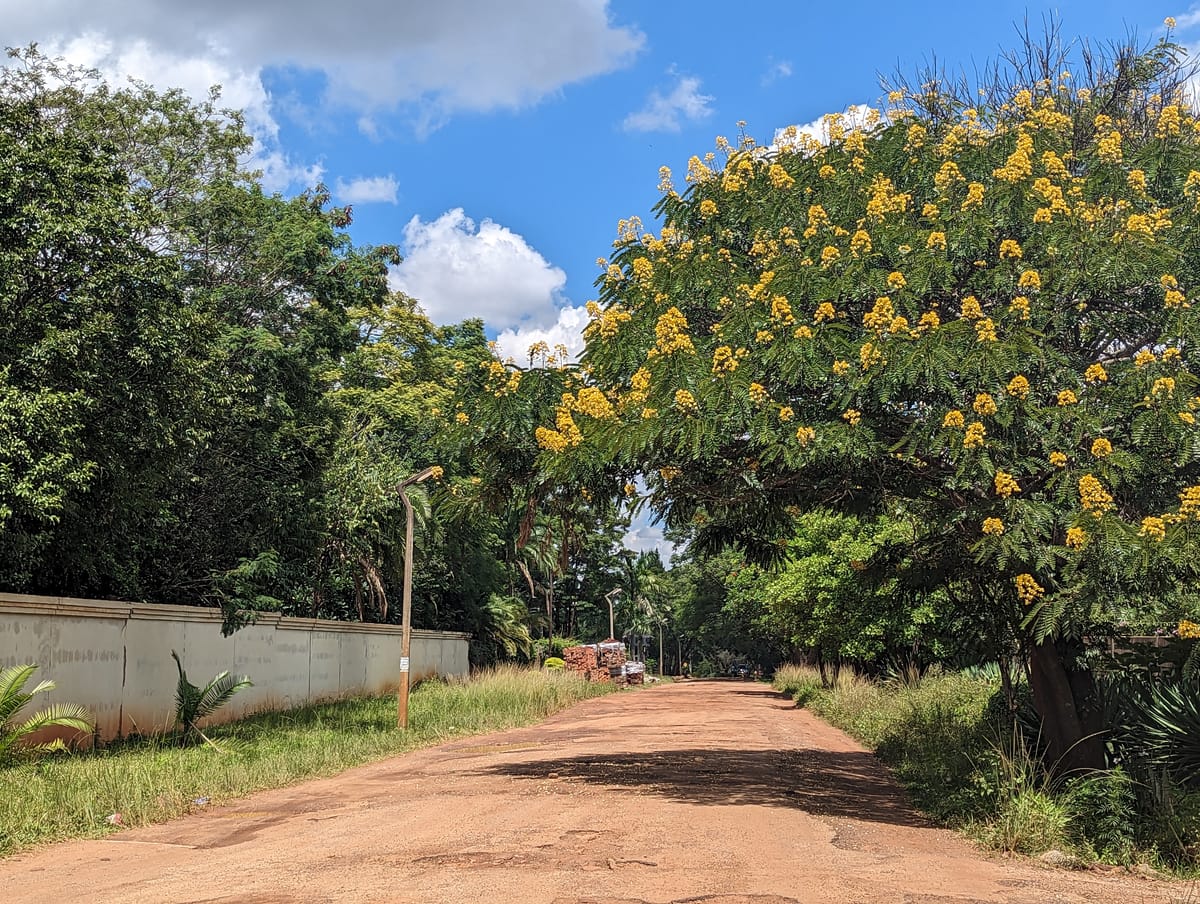 Taas Zimbabwessa...