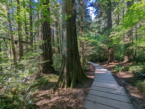 Lynn Canyon