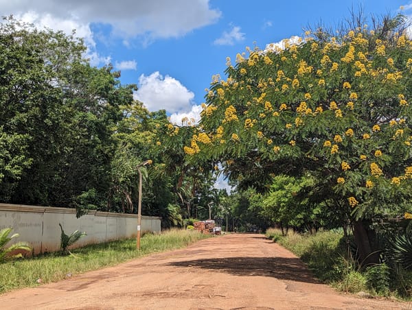 Taas Zimbabwessa...